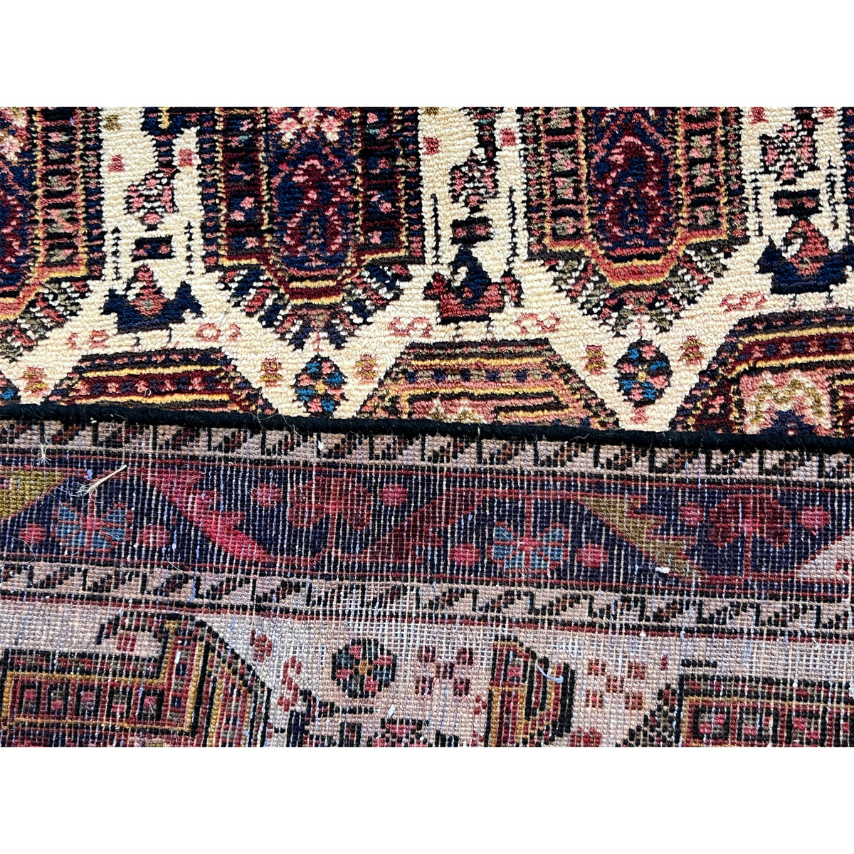 Shahre Babak Teppich (154x105 cm), Nahaufnahme: Bordüre mit feinen Ornamenten in Blau und Rot