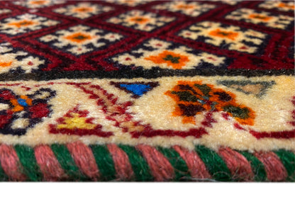 Poshti-Teppich 61x59 cm: Detail der Florstruktur und mehrfarbigen Bordüre, mit Fransen